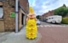 Ballopa