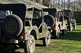 Rent-A-Willys