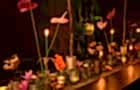 Wolterinck Event Decoration