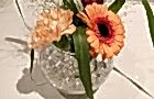 Bloem-en-passie
