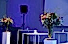 Vandonink - Roosen 'Floral Artists'