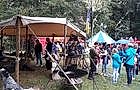 Toesj! - historische evenementen