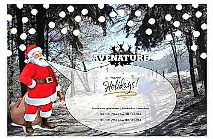 Happy Holidays! - Foto 1