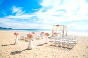 Wedding Planner Wedding Planner
